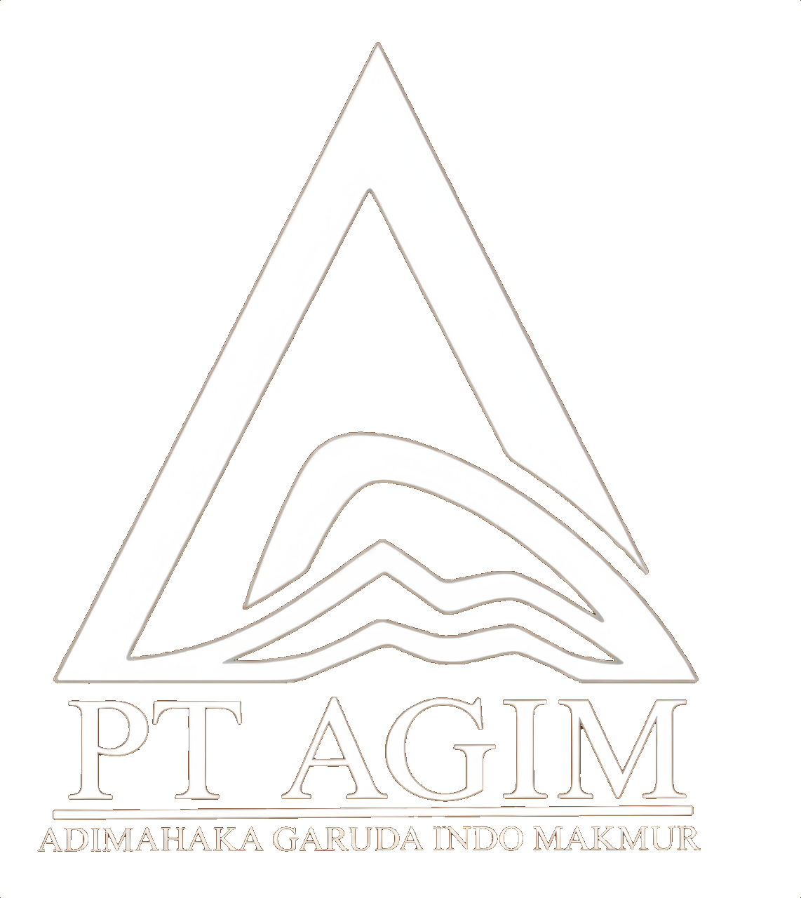 Logo Agim